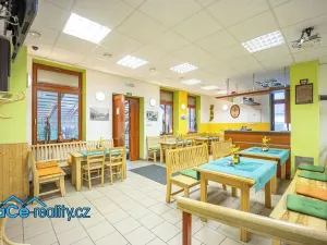 Prodej komerční nemovitosti, Slatina nad Zdobnicí, 572 m2
