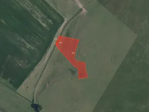 Prodej pole, Krásné Údolí, 2493 m2
