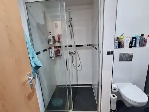 Pronájem bytu 3+1, Praha - Michle, Jihlavská, 72 m2