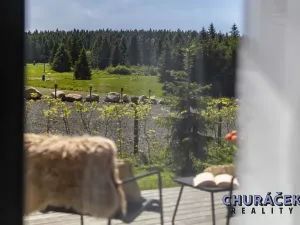 Prodej bytu 2+kk, Abertamy, Plešivecká, 43 m2