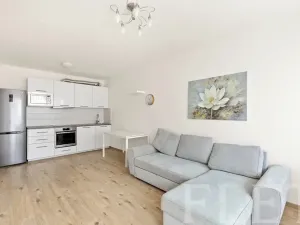 Pronájem bytu 2+kk, Praha - Vysočany, Pod Harfou, 48 m2
