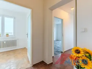 Prodej bytu 2+1, Slaný, Stehlíkova, 45 m2