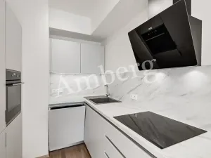 Pronájem bytu 2+kk, Praha - Karlín, U Mlýnského kanálu, 56 m2