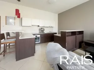 Prodej bytu 2+kk, Brno, Vranovská, 80 m2