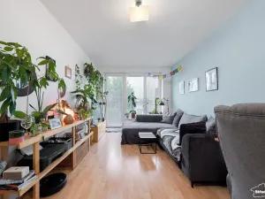 Prodej bytu 2+kk, Praha - Chodov, Divišovská, 53 m2