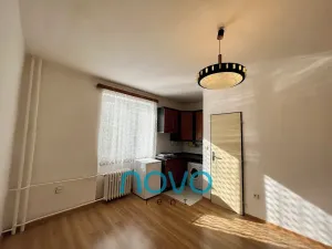 Pronájem bytu 1+kk, Praha - Hloubětín, Zelenečská, 21 m2