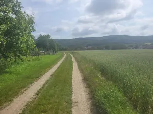 Prodej pozemku pro bydlení, Dlouhá Loučka, 1890 m2