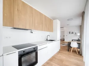 Pronájem bytu 2+kk, Praha - Karlín, Thámova, 58 m2
