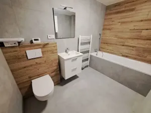 Pronájem bytu 1+1, Plzeň, Mánesova, 45 m2