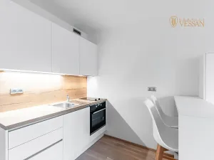 Prodej bytu 1+kk, Praha - Vysočany, Bassova, 34 m2