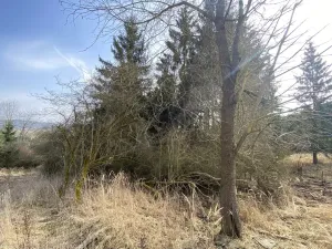 Prodej pozemku, Městečko Trnávka - Lázy, 384 m2