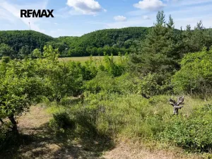 Prodej sadu/vinice, Moravské Bránice, 2403 m2