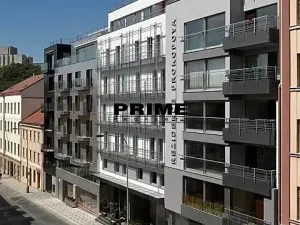 Pronájem bytu 3+kk, Praha - Žižkov, Prokopova, 154 m2