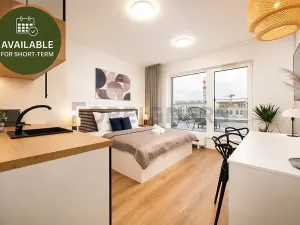 Pronájem bytu 1+kk, Brno, Cejl, 38 m2