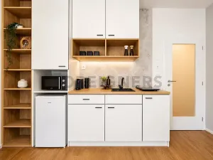 Pronájem bytu 1+kk, Brno, Cejl, 29 m2