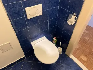 Pronájem bytu 2+1, Prostějov, Fügnerova, 43 m2