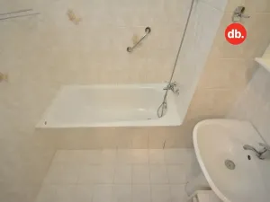 Prodej bytu 2+1, Ostrov, Luční, 64 m2