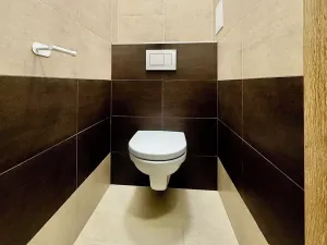 Pronájem bytu 2+1, Plzeň, Klatovská třída, 50 m2
