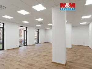 Prodej kanceláře, Plzeň - Severní Předměstí, Otýlie Beníškové, 284 m2