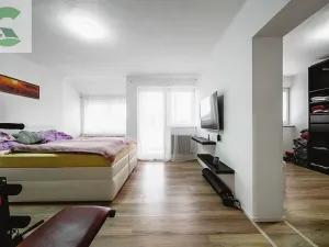 Prodej rodinného domu, Velký Týnec, Krátká, 300 m2