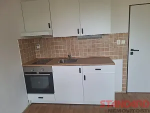 Pronájem bytu 1+kk, Dobřany, 17. listopadu, 19 m2