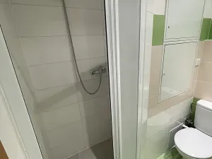 Pronájem bytu 1+kk, Dobřany, 17. listopadu, 19 m2