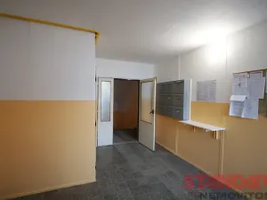Pronájem bytu 1+kk, Dobřany, 17. listopadu, 19 m2