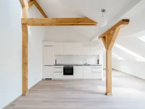 Pronájem bytu 3+kk, Praha - Nové Město, Václavské náměstí, 92 m2
