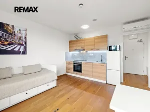 Pronájem bytu 1+kk, Praha - Vinohrady, Perucká, 27 m2