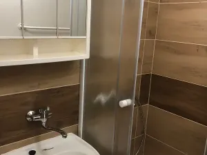 Pronájem bytu 1+1, Olomouc, Litovelská, 46 m2