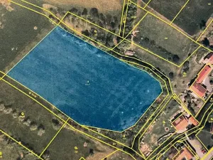 Prodej louky, Luže, 11020 m2