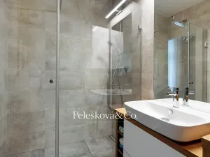 Pronájem bytu 2+kk, Praha - Smíchov, Plzeňská, 51 m2