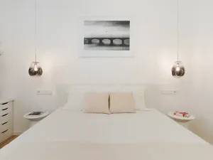 Pronájem bytu 2+kk, Praha - Nusle, Oldřichova, 52 m2