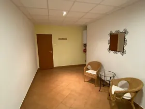 Pronájem bytu 3+kk, Počátky, Lipárecké nám., 110 m2