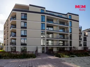 Pronájem bytu 2+kk, Ostrava - Moravská Ostrava, Důlní, 60 m2