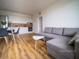 Prodej bytu 2+kk, České Budějovice - České Budějovice 2, Otavská, 46 m2