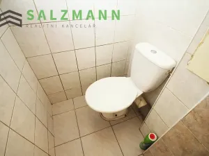 Pronájem bytu 2+kk, Plzeň, Úslavská, 45 m2