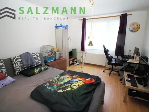 Pronájem bytu 1+1, Dýšina, K Chlumu, 42 m2