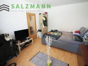 Pronájem bytu 1+1, Dýšina, K Chlumu, 42 m2