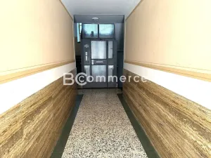 Pronájem bytu 2+1, Brno, Kotlářská, 80 m2