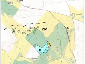 Prodej lesa, Dívčí Kopy, 1088 m2