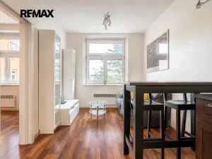 Pronájem bytu 1+1, Praha - Břevnov, U kaštanu, 43 m2