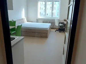 Pronájem bytu 1+kk, Praha - Vinohrady, Ondříčkova, 31 m2