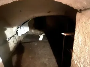 Prodej rodinného domu, Dolní Podluží, 420 m2