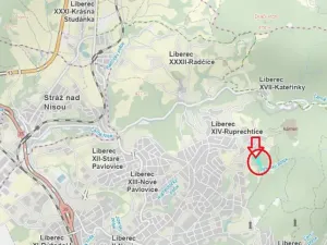 Prodej lesa, Liberec, 10902 m2
