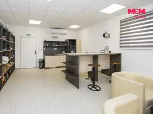 Prodej výrobních prostor, Pardubice - Staré Čívice, U Panasonicu, 5179 m2