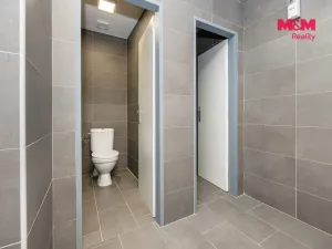Prodej výrobních prostor, Pardubice - Staré Čívice, U Panasonicu, 5179 m2