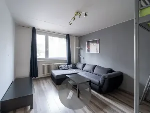 Prodej bytu 1+1, Brno, Horácké náměstí, 45 m2