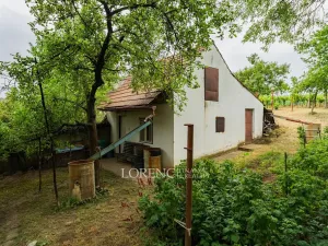 Prodej rodinného domu, Nový Poddvorov, 104 m2