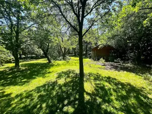 Prodej chalupy, Golčův Jeníkov, 110 m2